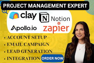 set up and automate clay CRM with notion, zapier, apollo clay crm expert