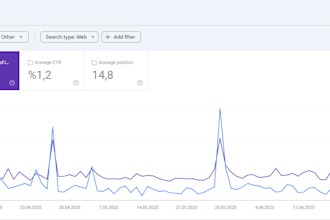 search console organic hit