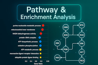 perform go, kegg, and pathway enrichment analysis