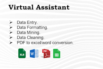 do fast and accurate data entry, cleaning in excel sheet