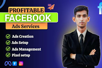 setup and manage facebook ads, fb pixel and meta ads campaign