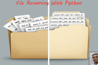 rename and organize 1000 files using a python script
