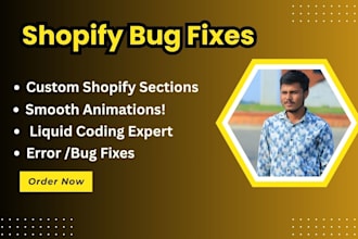 do shopify theme development, liquid coding, and bug fixing