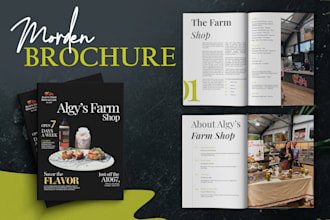 create brochure design, product booklet, and catalog design