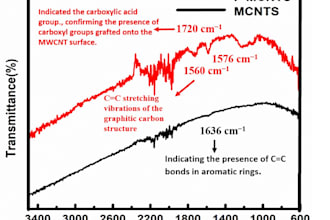 provide detailed analysis and interpretation of xrd raman ftir SEM tem technique