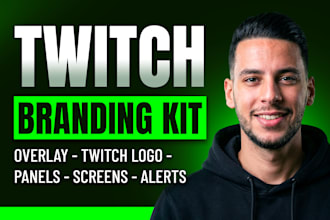 a professional twitch overlay stream package