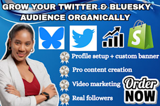 grow bluesky audience organically,content for greater reach,twitter promotion