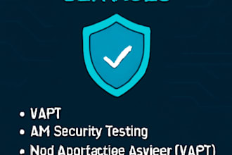 perform comprehensive security assessments which includes vapt, wapt etc
