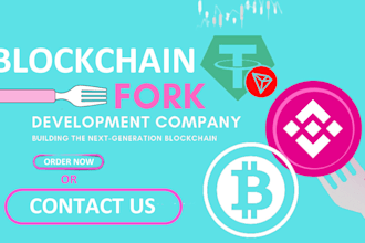 fork ethereum blockchain, explorer, wallet, dex exchange, smart contracts