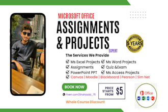 solve microsoft excel assignments and projects