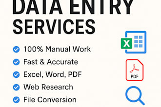 accurate data entry, copy paste, and excel data input