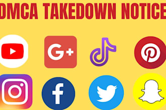 remove copyright and defamatory content from facebook,instagram,tiktok,reddit