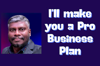 create a professional business plan for funding