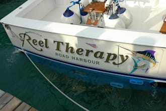 create a sleek and modern boat logo design