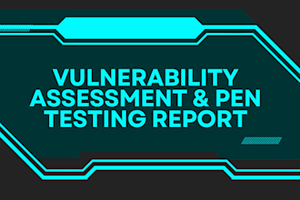 perform vapt and provide a detailed report