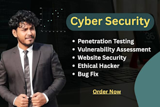 perform penetration testing and secure your website