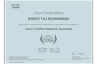 do  cisco packet, tracer, gns3, computer networking assignment and projects