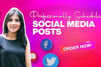 schedule and manage posts on instagram and facebook