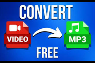 convert video to mp3 mp4 or other formats within an hour
