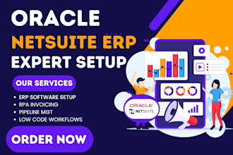 setup oracle netsuite workday sap s hana finance anaplan erp for your business