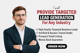 provide professional  b2b lead generation email finder data scraper and mining