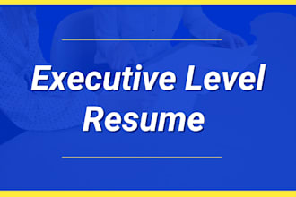 write a professional executive CV in 24 hours