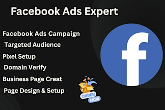 facebook ads expert, ads campaign setup, targeted ads