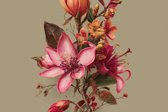 draw botanical illustration of flower illustration