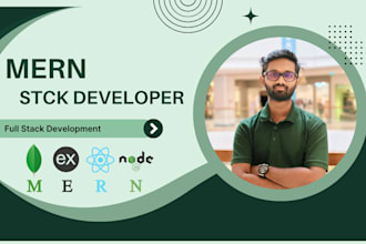 do web app development, mern stack development