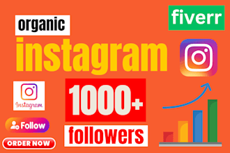 get 1000 organic instagram followers