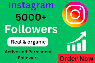 get 5000 organic instagram followers