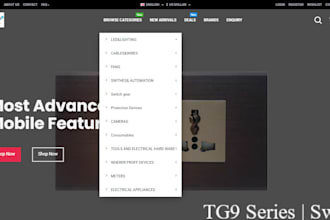 customize web site and ecommerce website