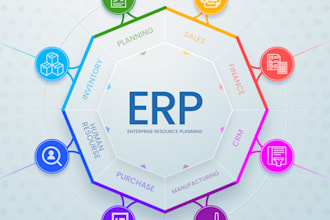 implement or help customize erp solutions for mfg companies or consult IT firms