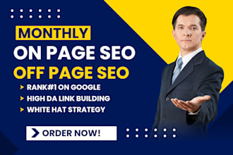 provide complete monthly SEO service with onpage and off page