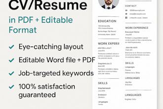 professional CV resume in PDF editable format