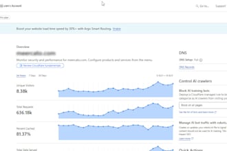 set up cloudflare on your website and manage dns settings