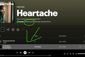 pitch one song for playlist placement