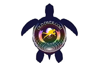 design exotic travel and underwater animal logo