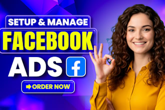 setup and manage facebook ads meta fb ad campaign advertising marketing campaign