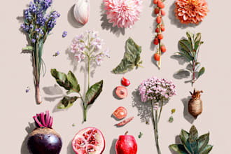 do botanical and anatomical scientific illustrations