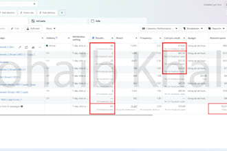 be your facebook ads and gohighlevel media buyer