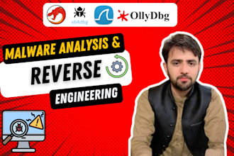do malware analysis and reverse engineering with reporting