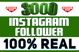 get 3000 organic instagram followers