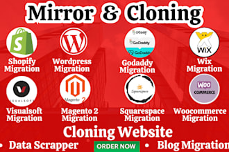 mirror and clone your website content, data to another domain shopify migration
