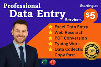 do professional data entry, copypast and accurate translation