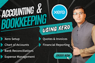 handle xero bookkeeping, setup, invoices, bank reconciliation and reporting