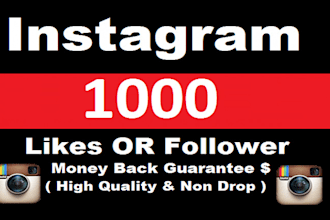 do instagram page followers up