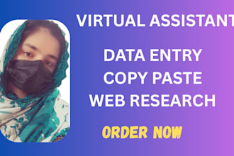 be your virtual assistant for data entry, copy paste, web reseach