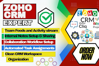 setup zoho crm team project collaboration feeds notes tags and chat management