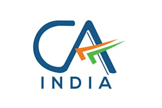provide all chartered accountant services